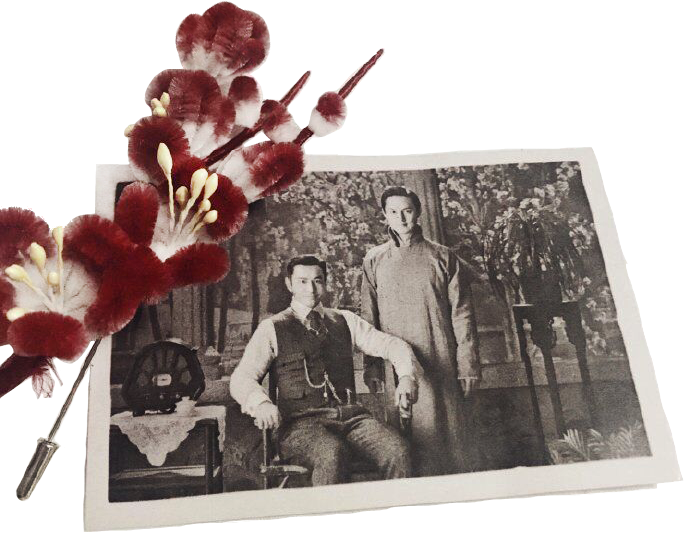 Winter Begonia Set Design Photo